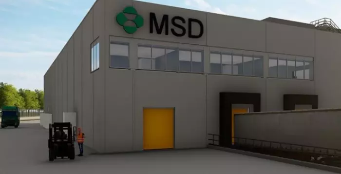 MSD Haarlem
